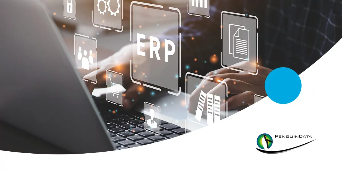 guide to erp systems